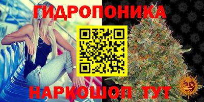 спайс Севастополь