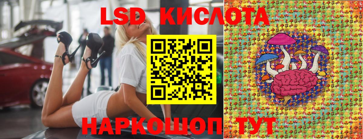 Прохладный  Наркотические марки  Вход с VPN  Марки N-bome 1,5мг 