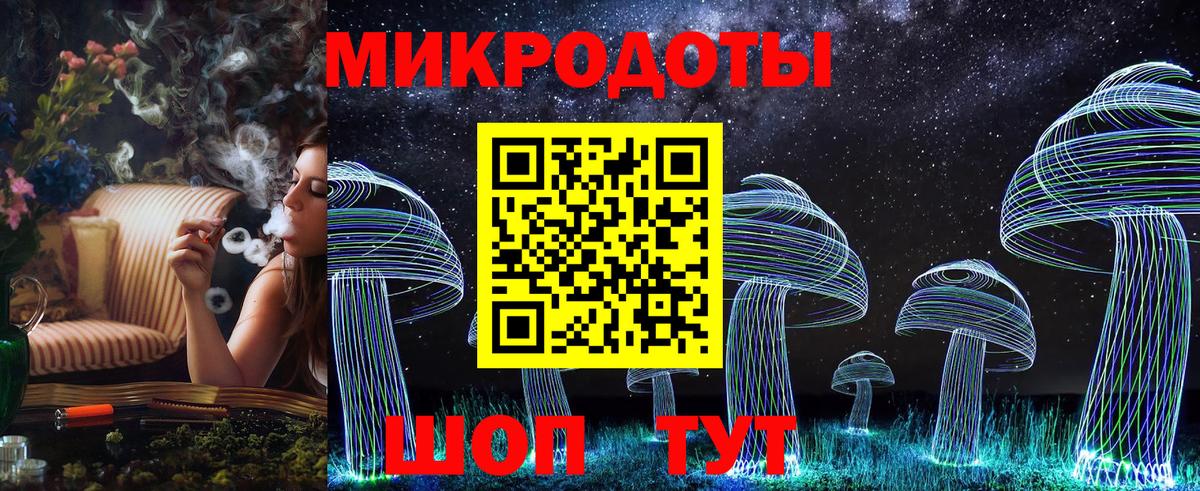 Псилоцибиновые грибы Cubensis Прохладный
